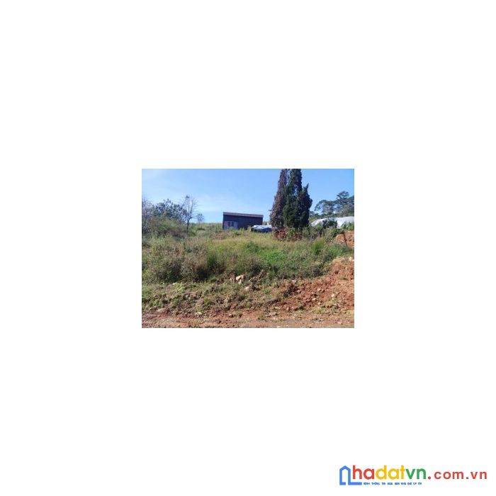 Cần bán lô đất vị trí đẹp tại huyện lạc dương, lâm đồng (hướng về nha trang)