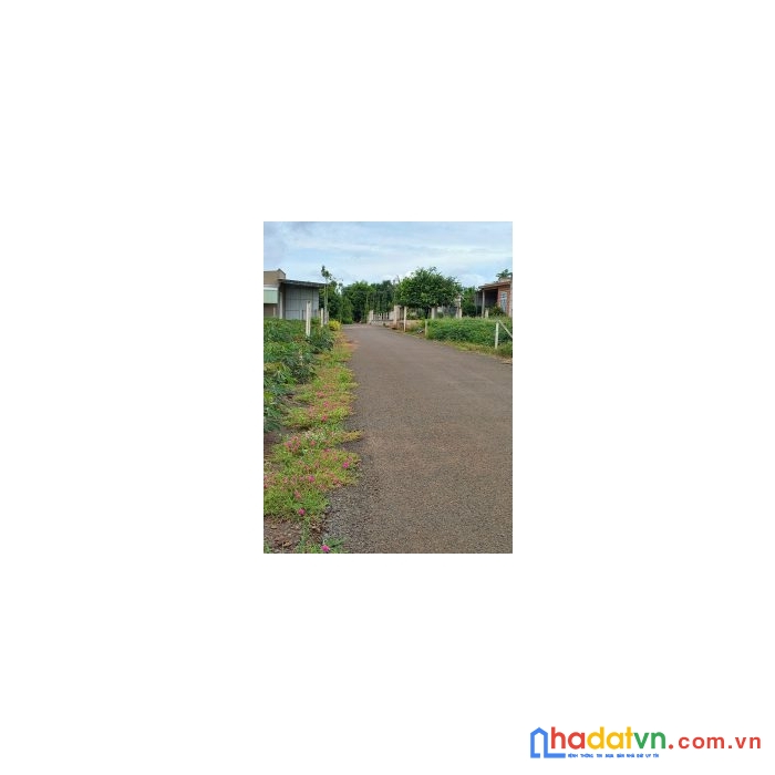 Chính chủ cần bán đất diện tích rộng tại vũng tàu