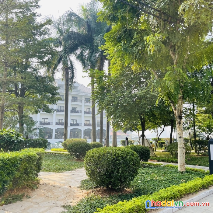 Mặt quảng an - lô góc - hàng hiếm bán - view hồ tây - view công viên - view khách sạn 5 sao