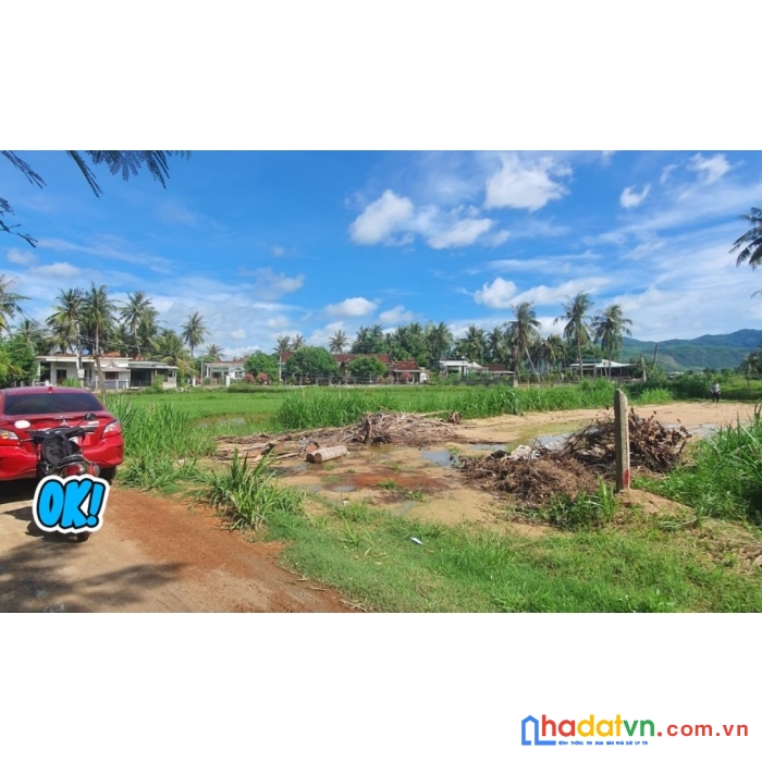 Chính chủ bán đất thôn lương trung, xã mỹ chánh, huyện phù mỹ, bình định