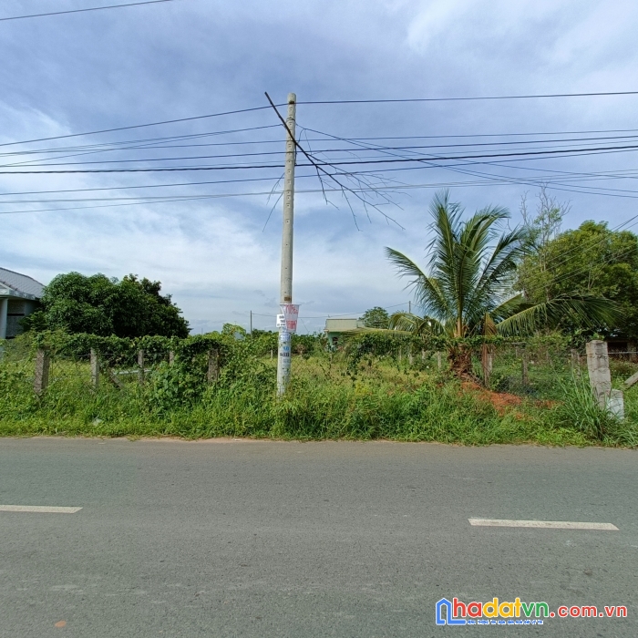 Chính chủ cần bán đất vị trí đẹp tại : thôn bình lâm, xã hàm chính ,huyện hàm thuận bắc, tỉnh bình