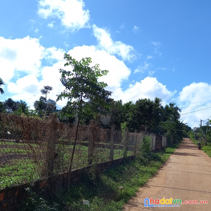 Nhanh tay sở hữu ngay 3 lô  liền kề vị trí đẹp tại: thành phố pleiku- gia lai