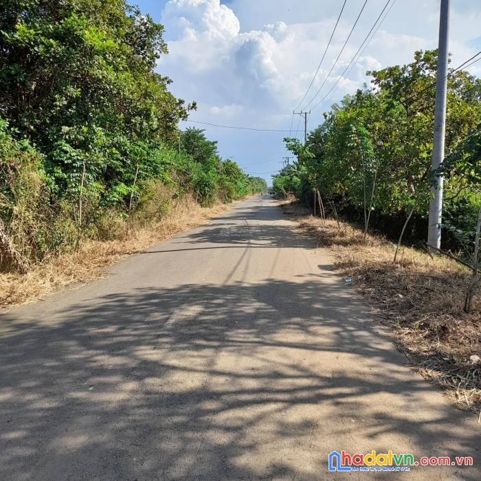 Chính chủ cần bán đất vườn đang trồng chuối, tiêu, điều nằm ngay bờ hồ huyện thống nhất, tỉnh đồng