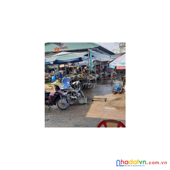Chính chủ bán đất thổ cư tại xã tân phước, huyện lai vung, tỉnh đồng tháp