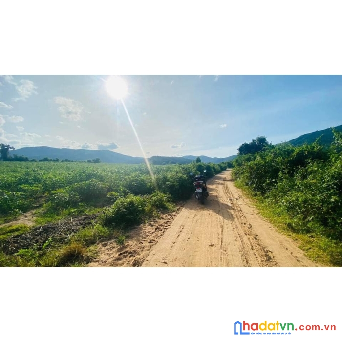 Bán lô đất sơn hòa phú yên ngang 15 đẹp gia rẻ thích họp đầu tư lâu dài