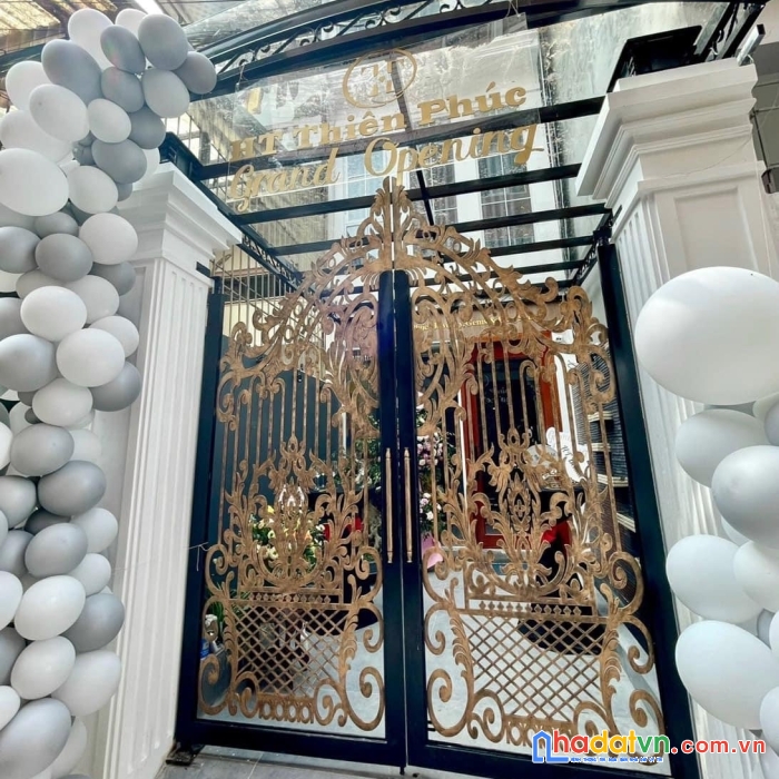 Bán nhà vip ba đình – nhà đẹp long lanh – tặng toàn bộ nội thất dt 65m*4t – mt 3.2m