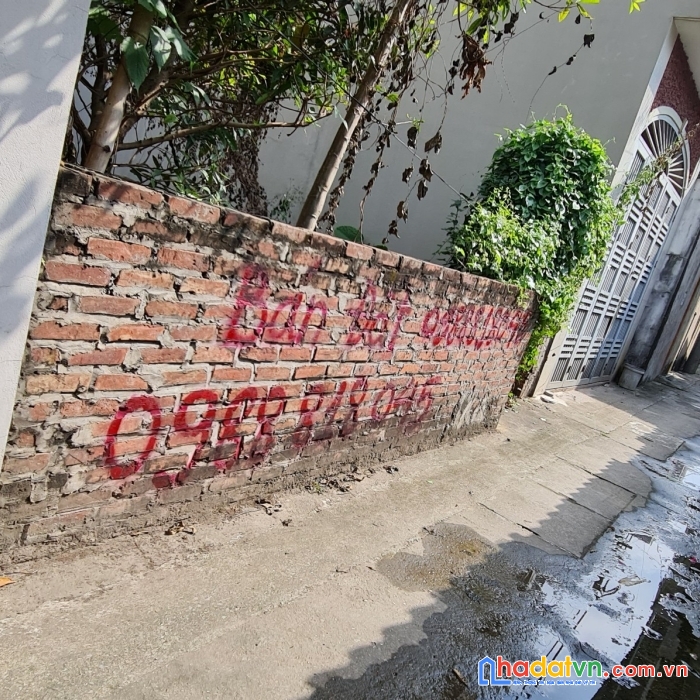 Bán đất xã mai lâm, huyện đông anh - 84m2, mt 6m, miễn tg