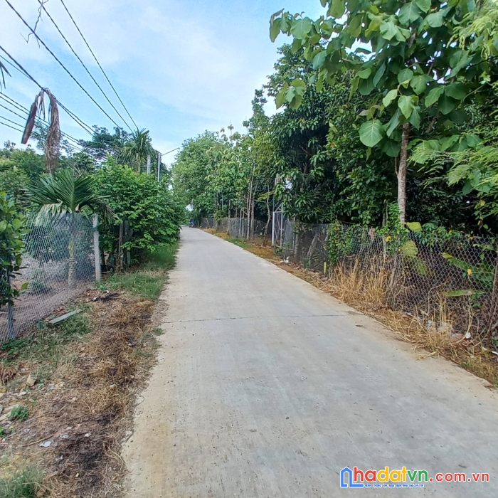 Đất nghỉ dưỡng mặt tiền view sông đồng nai xã thanh sơn huyện định quán tỉnh đồng nai