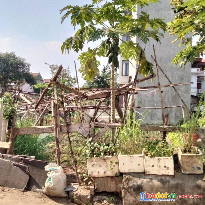 Thửa đất sót lại  vạn phúc 66 đất  giá 1.9 tỷ thanh trì