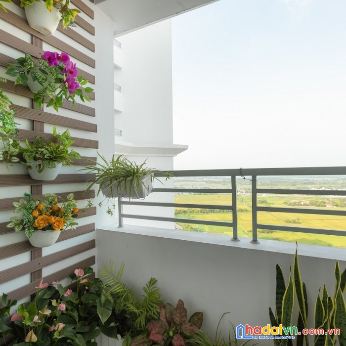 Thay vì tìm cây cầu nào đó, hãy tìm đến em. bán quỹ căn 2n – 3n – 4n đã làm sổ. giá chỉ từ 2,4 tỷ.