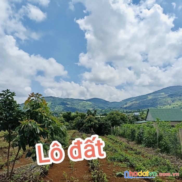 Chính chủ cần ra nhanh 3 lô đất giá f0 ở thị trấn nam ban cách trung tâm đà lạt 20km
