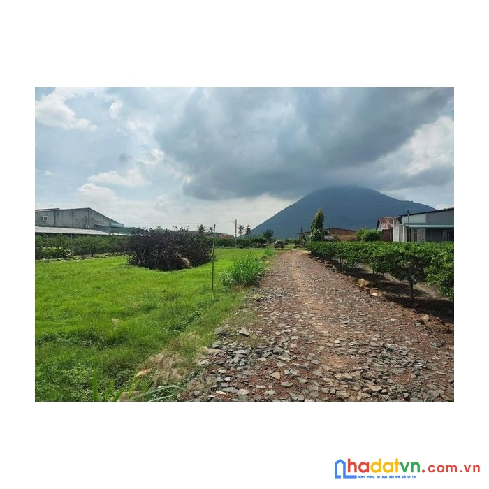 Bán đất chính chủ view núi bà đen tây ninh