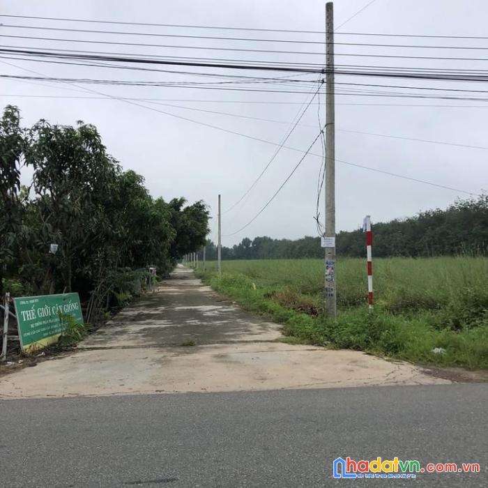 Sở hữu ngay lô đất nở hậu cực đẹp- chỉ với 800triệu vị trí tại huyện bàu bàng- bình dương