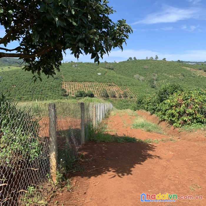 Lô đất di linh 3 mặt tiền, đường hiện hữu trên sổ, gần nút giao cao tốc