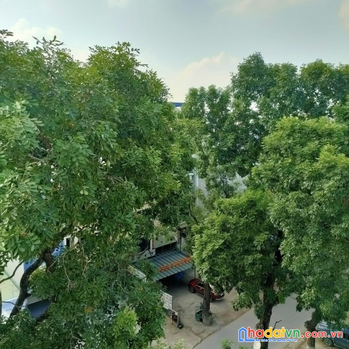 Chính chủ chuyển sang biệt thự ở cần bán gấp tòa nhà văn phòng - 7 tầng - thang máy - thông sàn