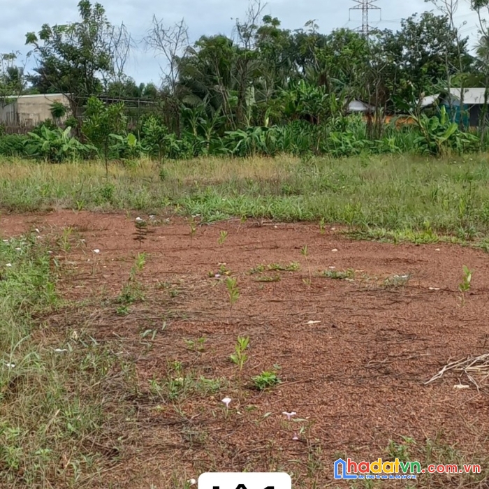 Chính chủ cần bán 2 lô đất vị trí đẹp tại đồng nai