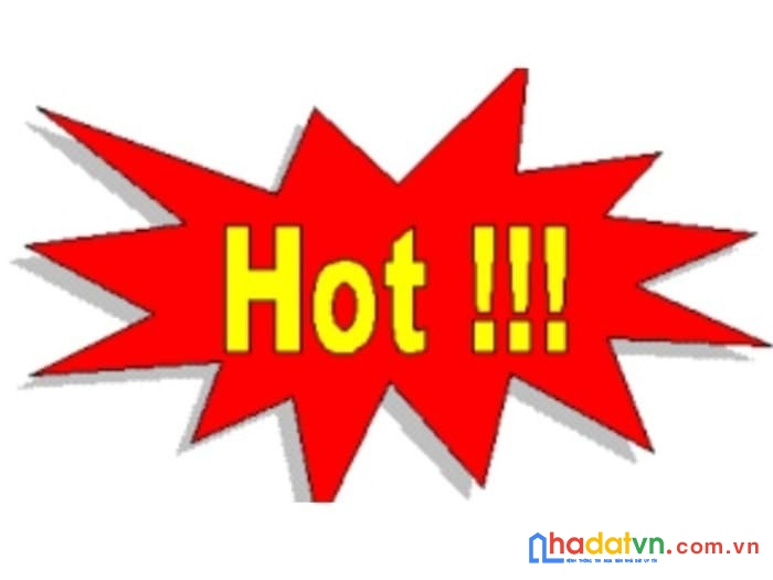 Chính chủ cần bán căn góc mizuki vị trí đẹp tại hồ chí minh.