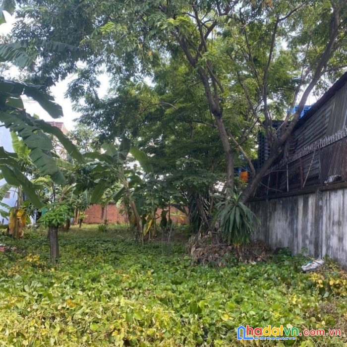 Bán đất ngộp, diện tích khủng, hxh  tránh hiệp bình phước, thủ đức, 520m2, chỉ 18tỷ600 tl