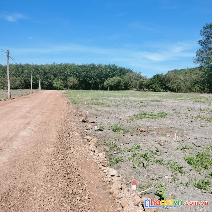 Kẹt tiền bán lỗ đất ngay trung tâm đồng phú , mt 42m , 100tc