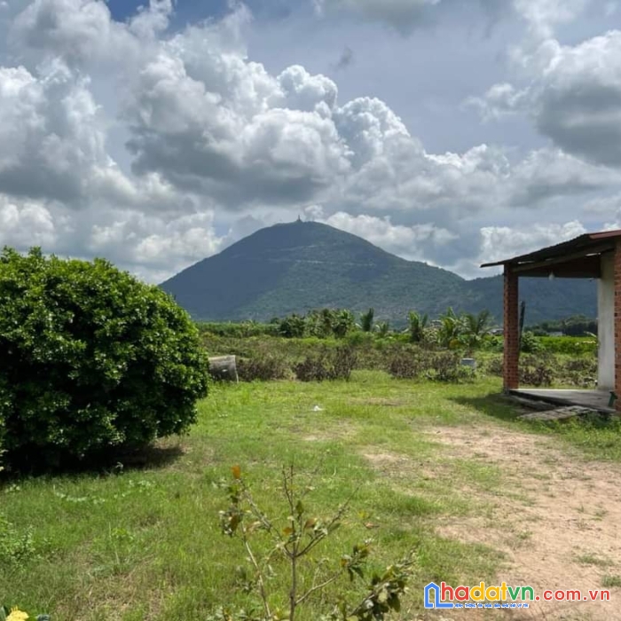 Bán đất tây ninh giá rẻ, sổ sẵm, view núi bà đen