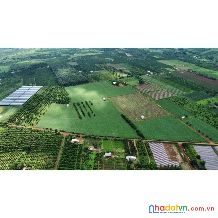 Bán 17ha liền thửa tại thôn hà lòng , xã kdang , huyện đak đoa , tỉnh gia lai