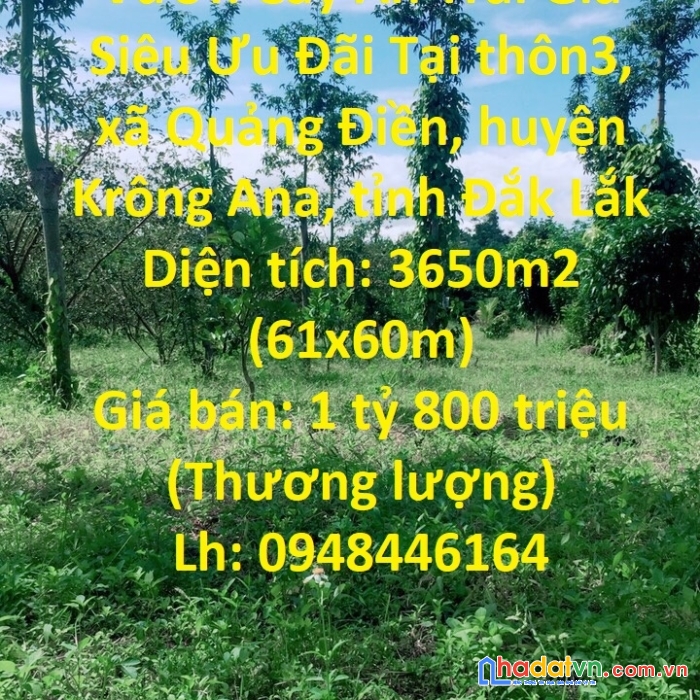 Chính chủ cần bán đất vườn cây ăn trái giá siêu ưu đãi tại xã quảng điền