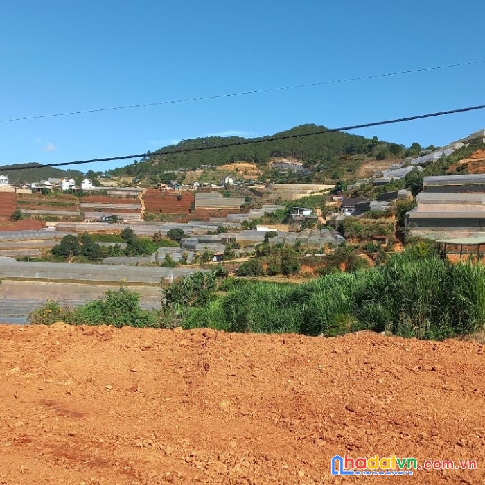 Đất tập đoàn 3 xuân thọ 504m2 148m2 thổ cư đường 10m