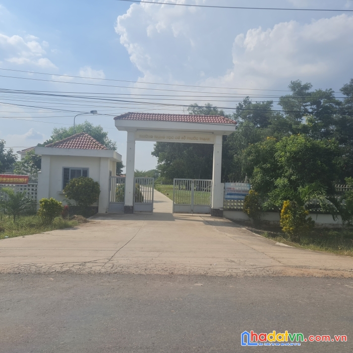 Đất thổ cư phước an phước thạnh gò dầu