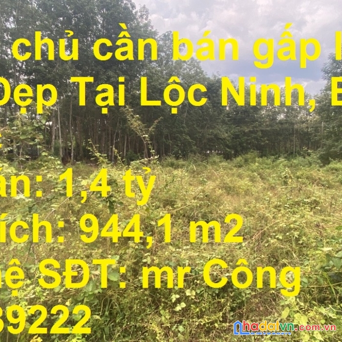 Chính chủ cần bán gấp lô đất vị trí đẹp tại ấp tân mai, xã lộc thành, lộc ninh, bình phước