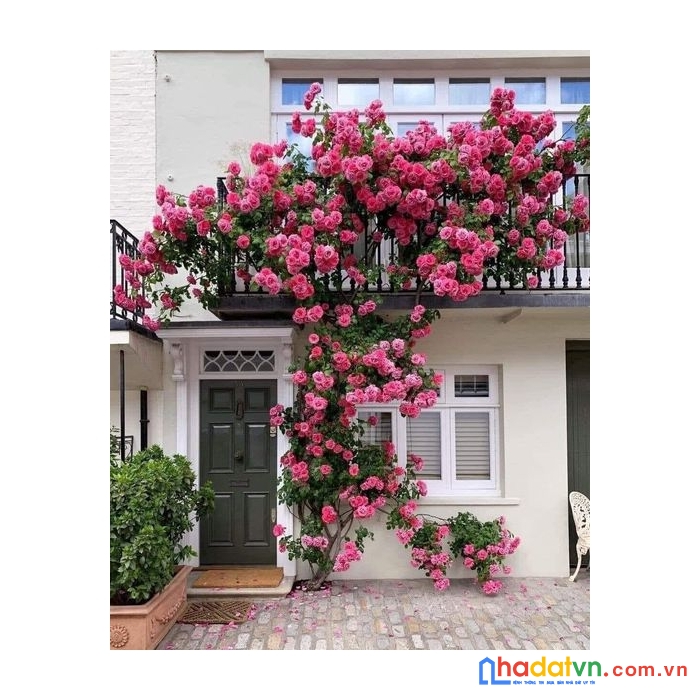 Vbans lô đất vị trí đẹp bên an trang , an đồng , an dương