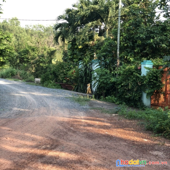 Chính chủ cần bán lô đất thổ cư, mặt tiền nhựa 12m đường nguyễn thị hồng - xã trung an - huyện củ