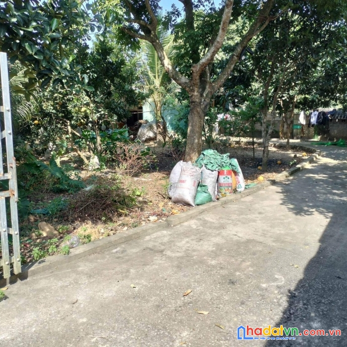 Chính chủ cần bán nhanh mảnh đất tại chi nê lạc thủy hòa bình