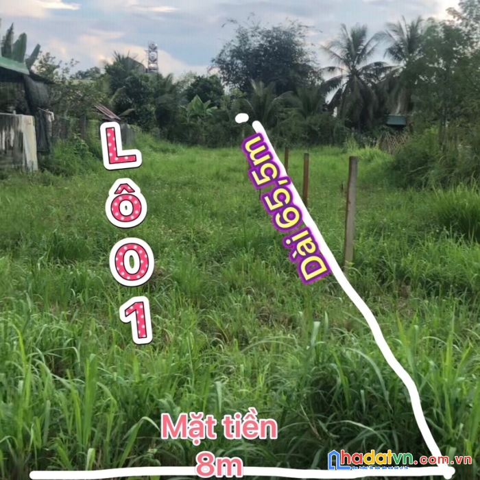 Cần bán đất nền  trung tâm huyện cát tiên ,tỉnh lâm đồng