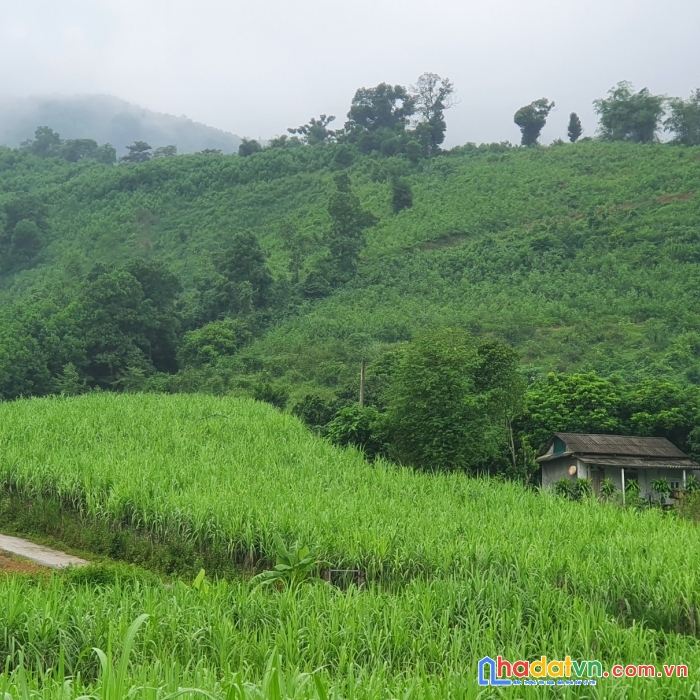 Bán đất cao phong, hòa bình - lô góc, phong thủy tựa sơn, đã có quy hoạch đất ở, tiềm năng tăng giá