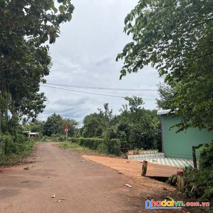 Cần bán gấp đất  thị trấn lộc ninh, huyện lộc ninh, bình phước