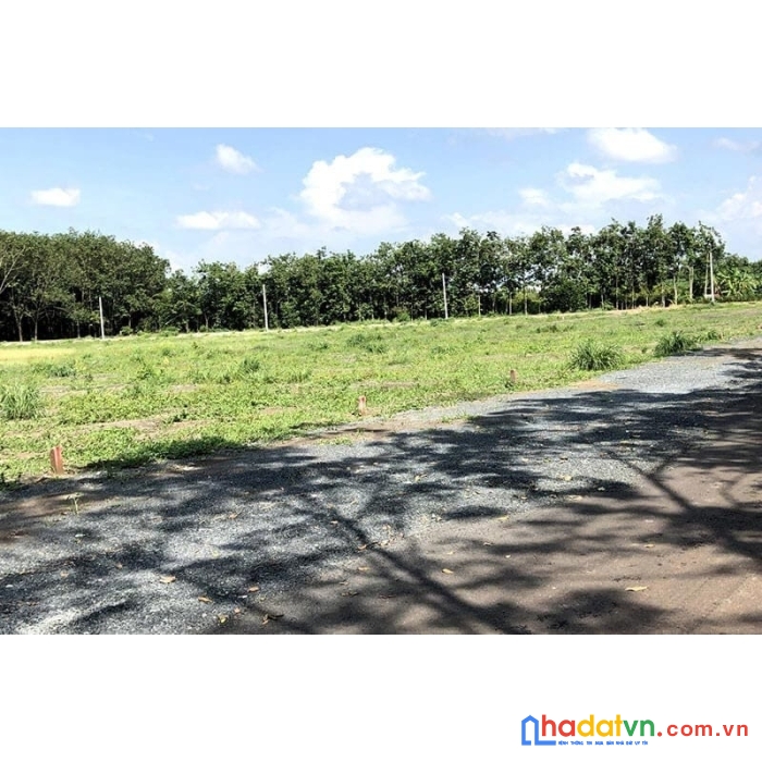 Bán đất tây ninh giá rẻ full thổ cư