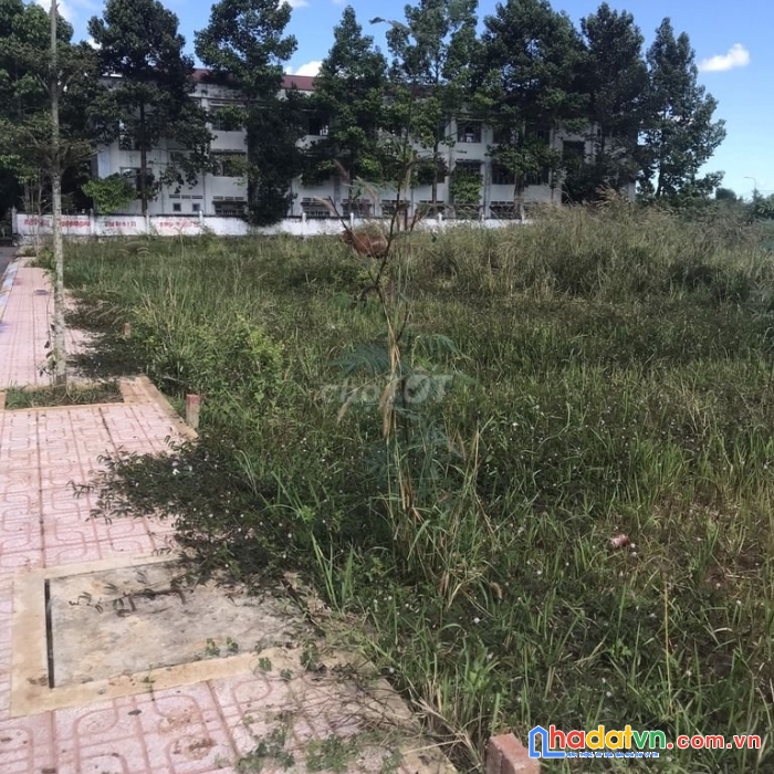 Bán đất ngộp-  sổ hồng riêng tại nhơn trạch đồng nai full thổ cư. nhỉnh 1 tỷ