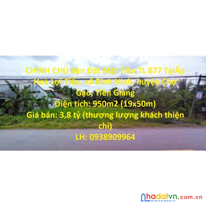 Chính chủ bán đất mặt tiền tl 877 tại xã bình ninh, chợ gạo, tiền giang
