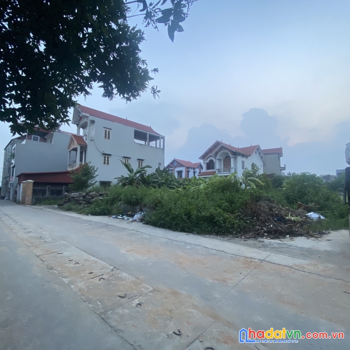 Đấu giá x2 . lôa6 lương nỗ - tiên dương - đông anh . giá cắt lỗ .chỉ còn 2ty450