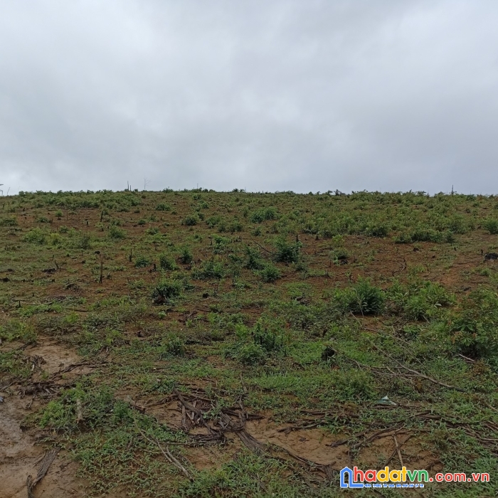 Đất hoà vang, hoà ninh, 9,5 ha, mặt tiền 300m, đường 2 làn xe