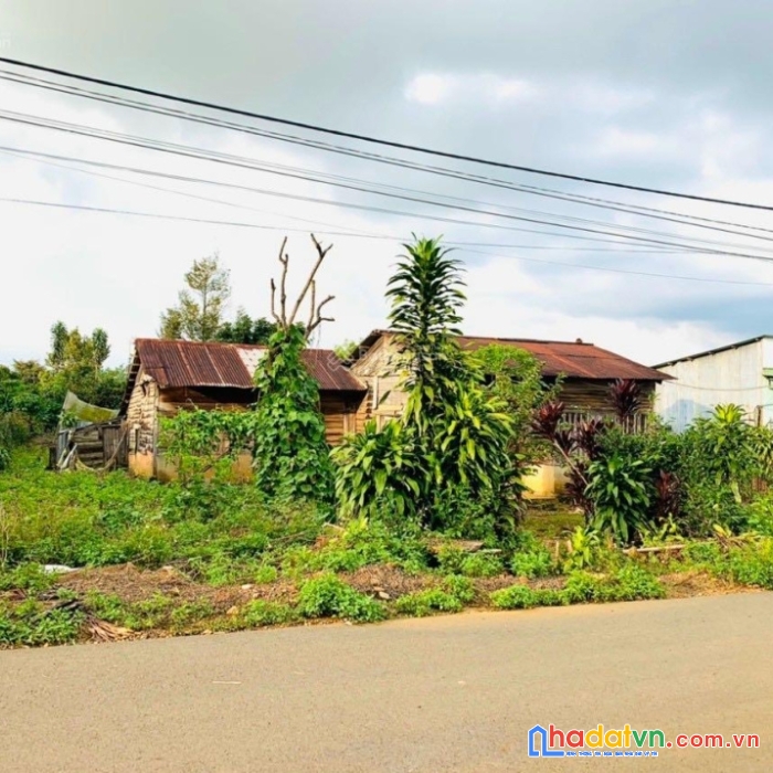 Đất thổ cư gần trung tâm tp. bảo lộc