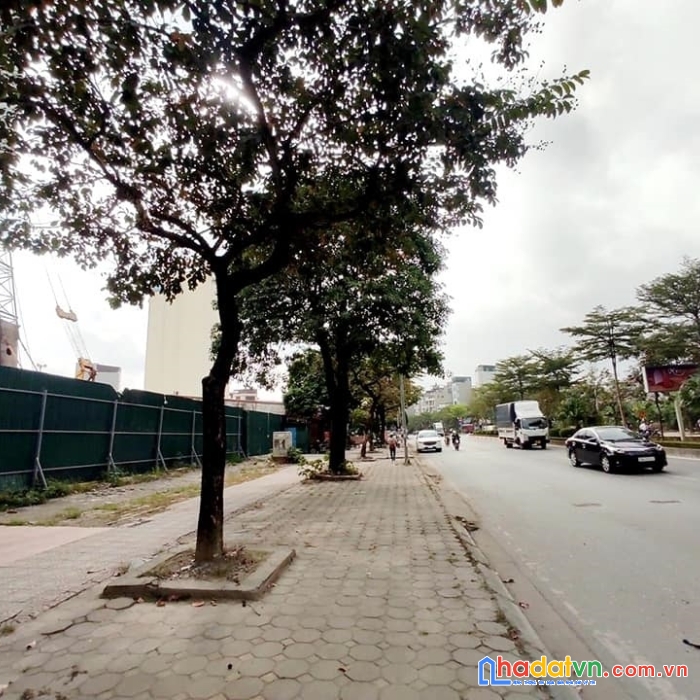 Bán gấp đất dương nội, hà đông, 100m2, mt8m, gần lê trọng tấn giá 10 tỷ