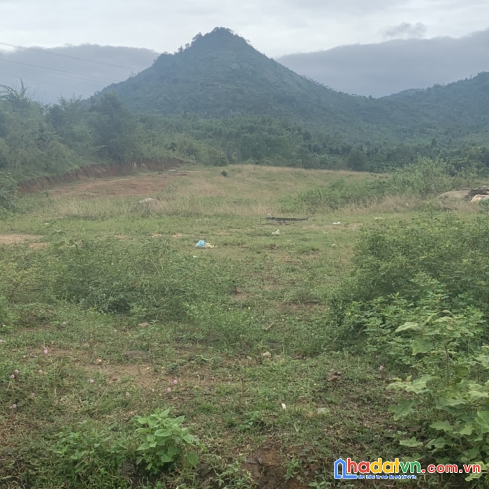 Cần tiền bán nhanh lô yang reh huyện krong bông đaklak.