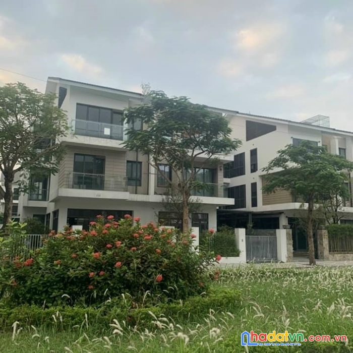 Bán biệt thự an vượng, dương nội, 180m2x4t, mt9m sát đường 24m nhỉnh 20 tỷ