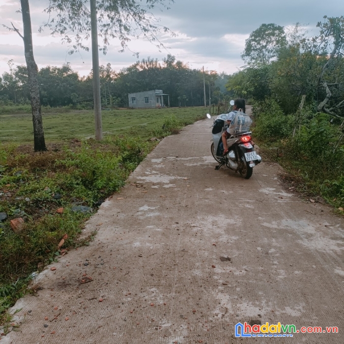 Hot hot chính chủ  sở hữu ngay lô đất đẹp vị trí đắc địa tại bình phước