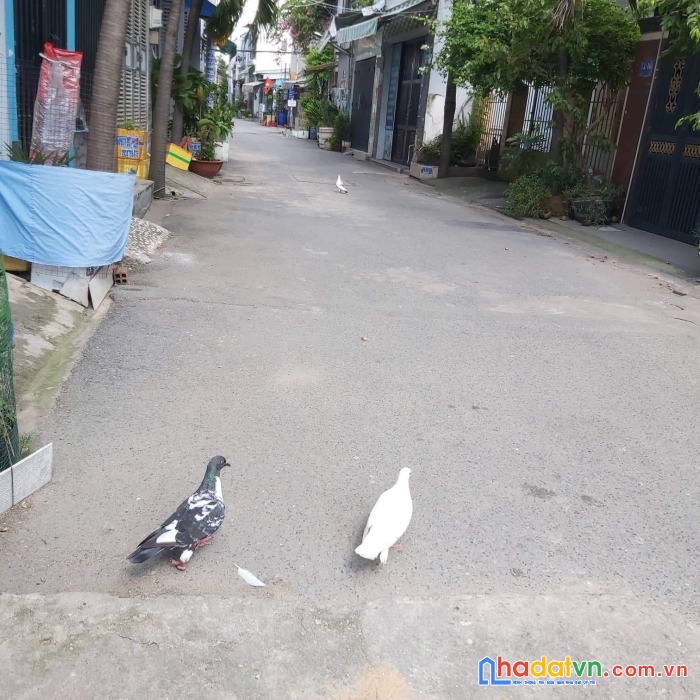 Trung mỹ tây quận 12 - đường nhựa 8m - 4.5 tỷ