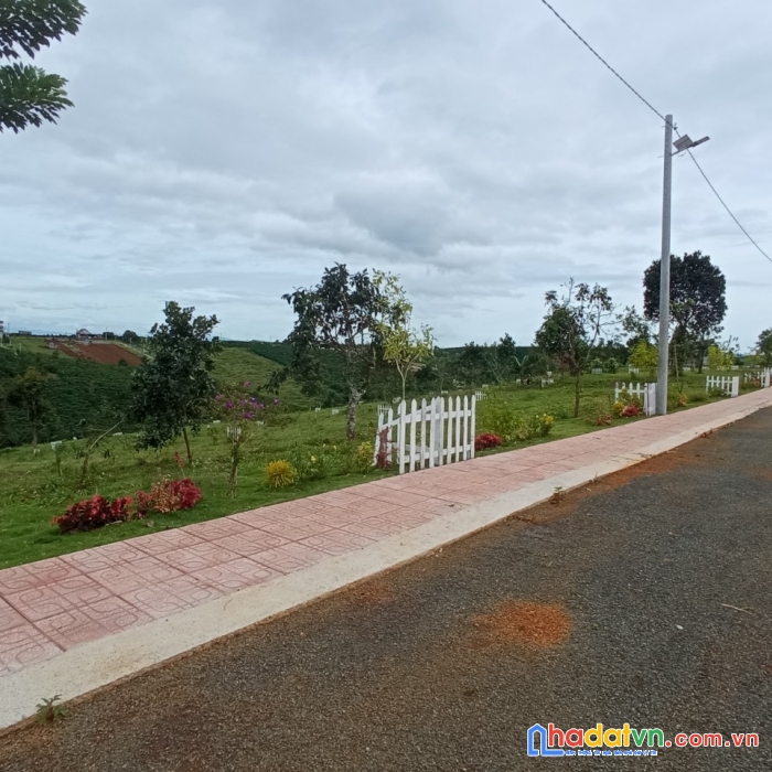 Cần bán gấp lô đất cực đẹp tại tp. bảo lộc