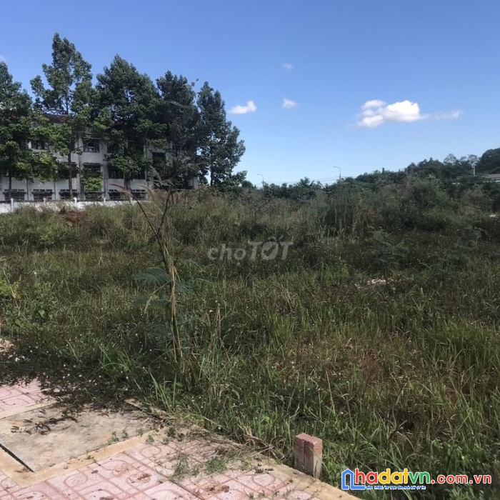 Chính chủ cần bán đất tại nhơn trạch tỉnh đồng nai nhỉnh 1 tỷ