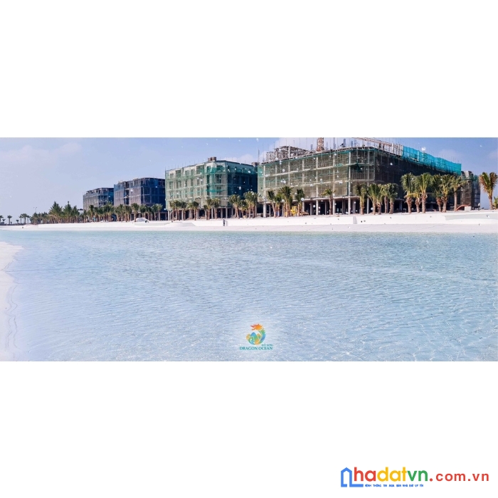 Nóng! nóng! dragon ocean đồ sơn, hải phòng