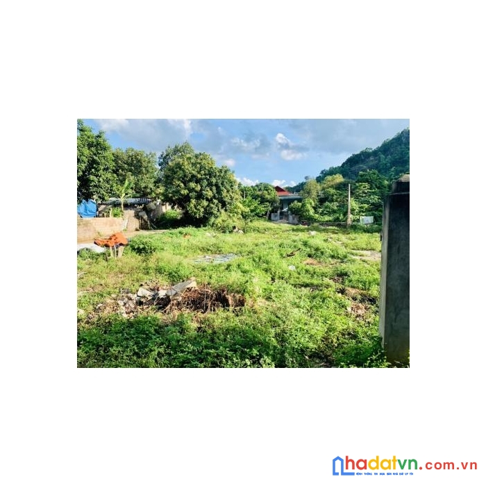  bán đất khu vực có nhiều homestay nhất mộc châu ,sơn la